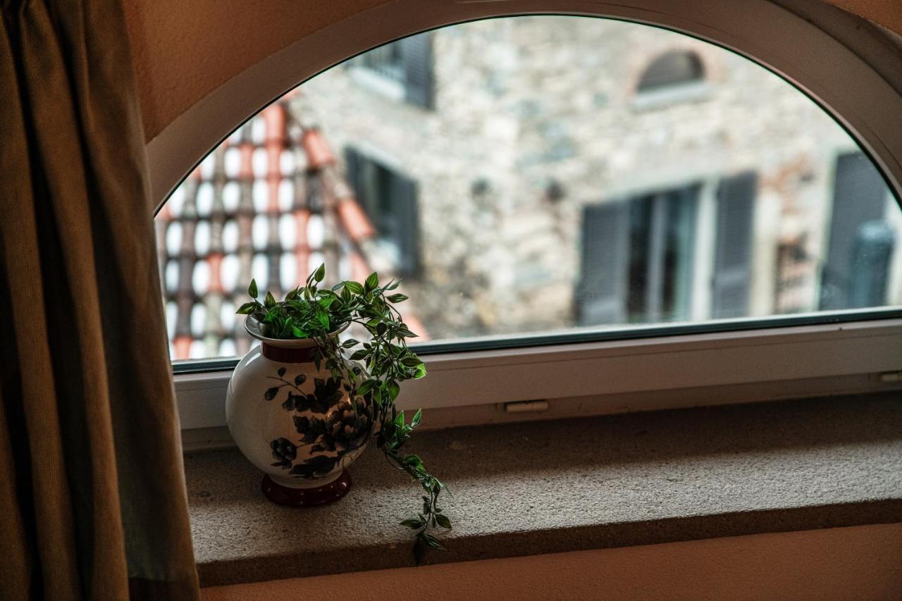 Salorino Apartments By Quokka 360 - With A View Of Nature Mendrisio Eksteriør bilde